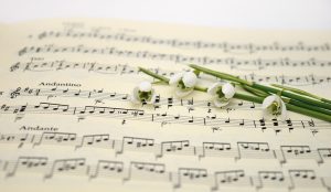 sheet music, concert, music