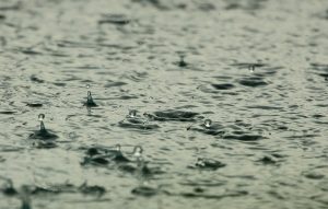 water, raindrops, nature