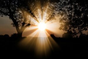 sunlight, nature, outdoors, sunbeam, landscape, trees, scenery, illuminated, sunlight, sunlight, sunlight, sunlight, sunlight, scenery