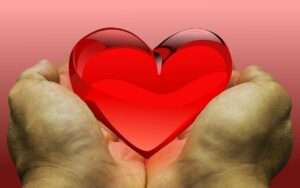 feeling, love, heart, donation, donate, gratitude, thank you, donation, donation, donation, donation, donation, donate, donate, donate, donate