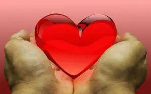 feeling, love, heart, donation, donate, gratitude, thank you, donation, donation, donation, donation, donation, donate, donate, donate, donate