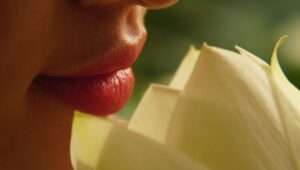 lips, lotus, flower background, face, flower, flower wallpaper, nature, beautiful flowers, close-up