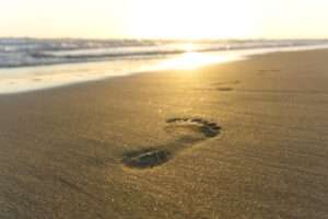footprint, sand, sunset, beach, shore, coast, nature, walk, dusk, closeup