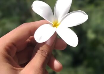 «No todo depende de nosotros»: mensaje del Pastor Presidente para el año nuevo