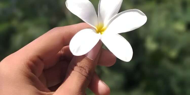 «No todo depende de nosotros»: mensaje del Pastor Presidente para el año nuevo