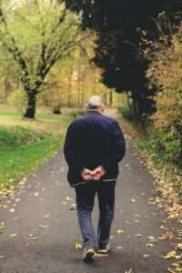 old man, path, walking, stroll, autumn, fall, old man, old man, old man, old man, old man, stroll