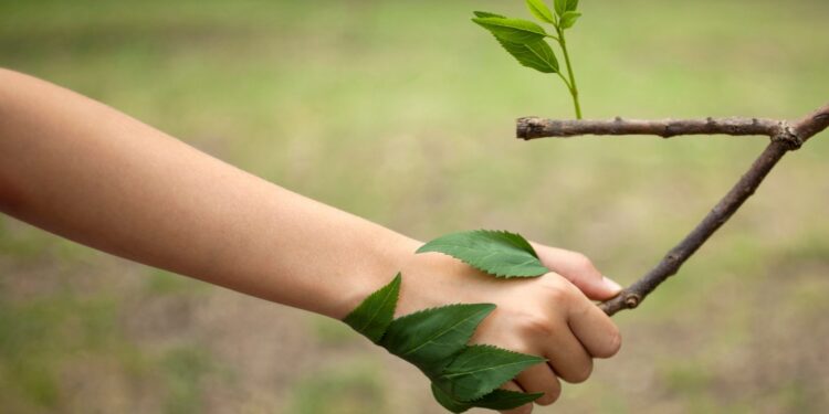 Día Mundial del medioambiente: «Cuidar y preservar, no explotar y aniquilar»