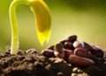 «El poder invisible de las acciones»