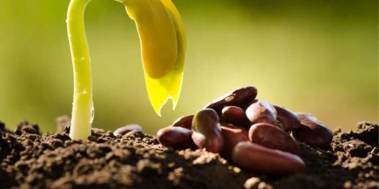 «El poder invisible de las acciones»